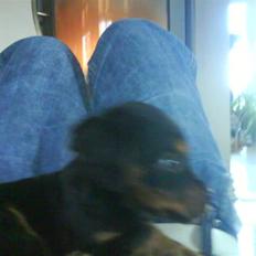 Blanding af racer SOFUS