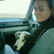 Blanding af racer kosmo(afleveret tilbage)