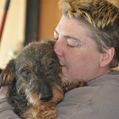 Gravhund Kong Albert 