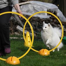 Japansk spids Kannibalens Joyful Hanna