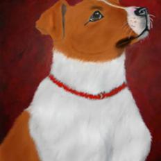 Jack russell terrier Kidogo