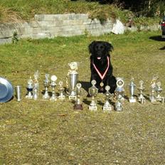 Blanding af racer Psycho