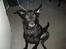 Blanding af racer Nala