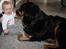 Blanding af racer Bella - Julie og Bella er rigtig glade for hinanden