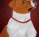 Jack russell terrier Kidogo