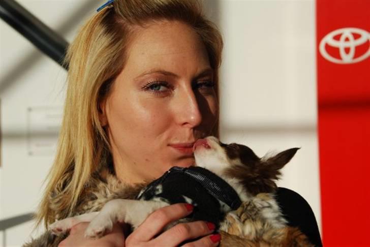 Chihuahua Cindy Sahara - Kyss til mor :P billede 11