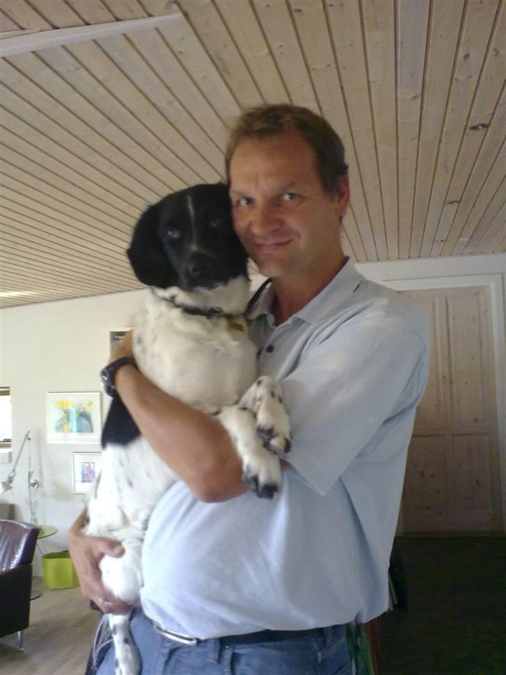 Stabijhoun Senta - Senta og min far<3 billede 9