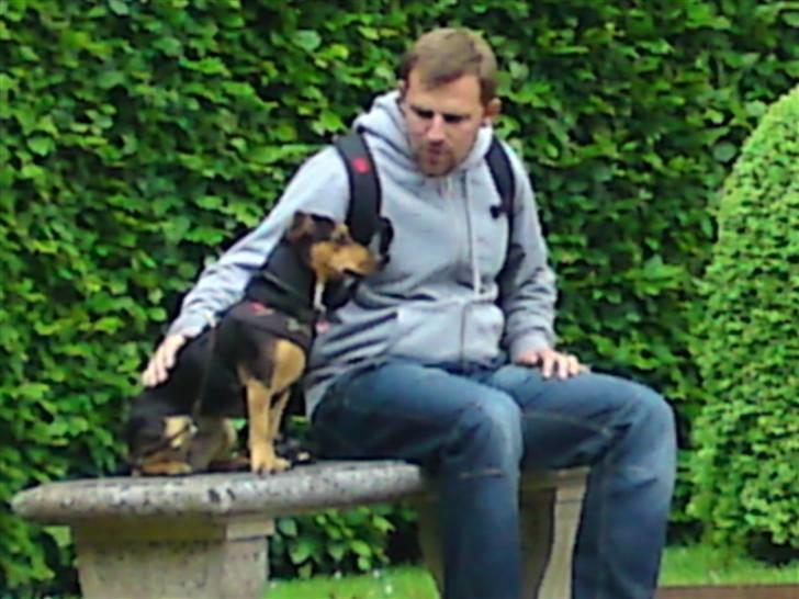 Blanding af racer Mille billede 15