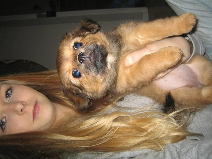 Blanding af racer Lilo billede 4