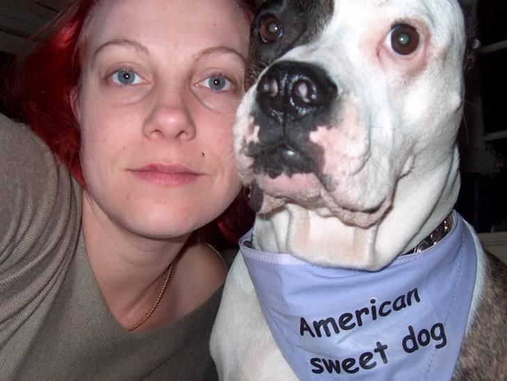 Amerikansk bulldog MOLLY billede 10