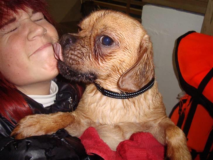 Blanding af racer Louis - Mor får lige en mys fordi hun tog mig med ud og svømme :D billede 11