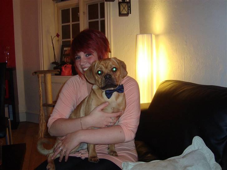 Blanding af racer Louis - Min fulde mor og jeg :)  billede 12