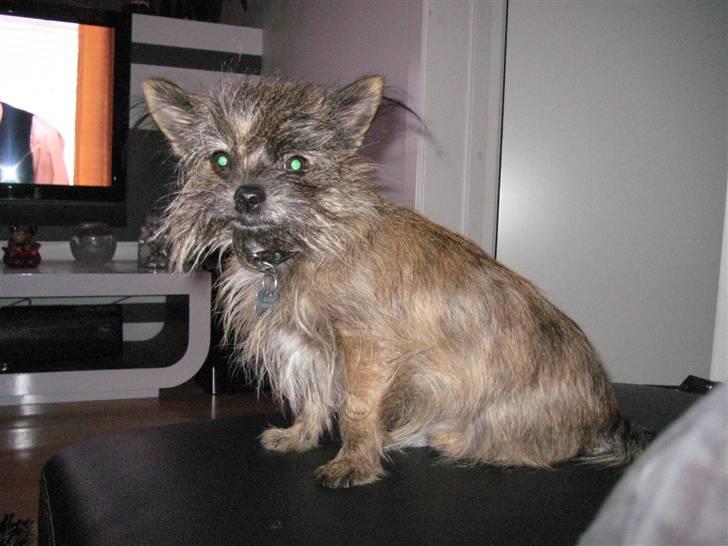 Blanding af racer Audi - what´s up vil du med ud og køre på min bike billede 14