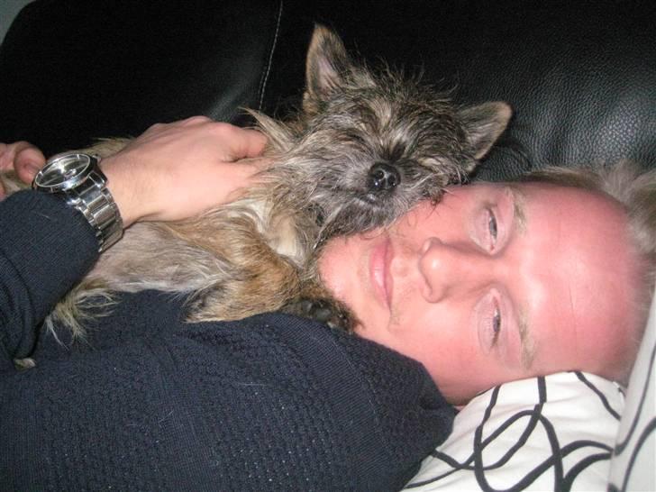 Blanding af racer Audi - Ja der er altså ikke noget bedre end at ligge og tag en slapper hos farmand billede 15