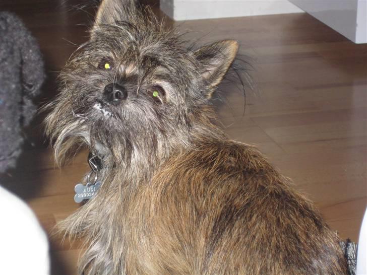 Blanding af racer Audi - Hov Hov Audi hvad har du spist siden du har yogurt på underløben billede 16