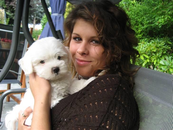 Malteser Meda billede 2