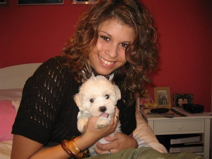 Malteser Meda billede 3