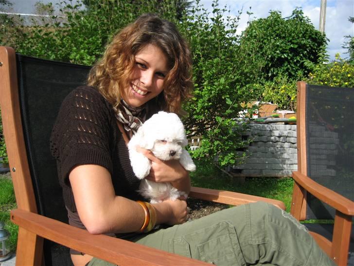 Malteser Meda billede 5