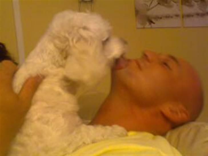 Malteser Meda - Meda kysser Thomas :D Nooorh... billede 14