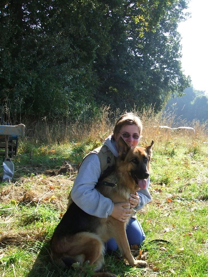 Schæferhund Karats Rimmi - En hyggestund med en ven. billede 2