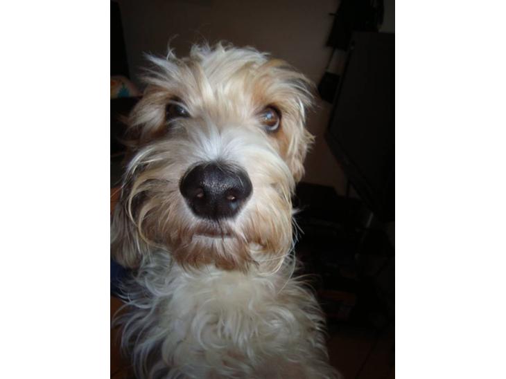 {{currentPhoto.altText}} billede {{currentPhoto.number}}