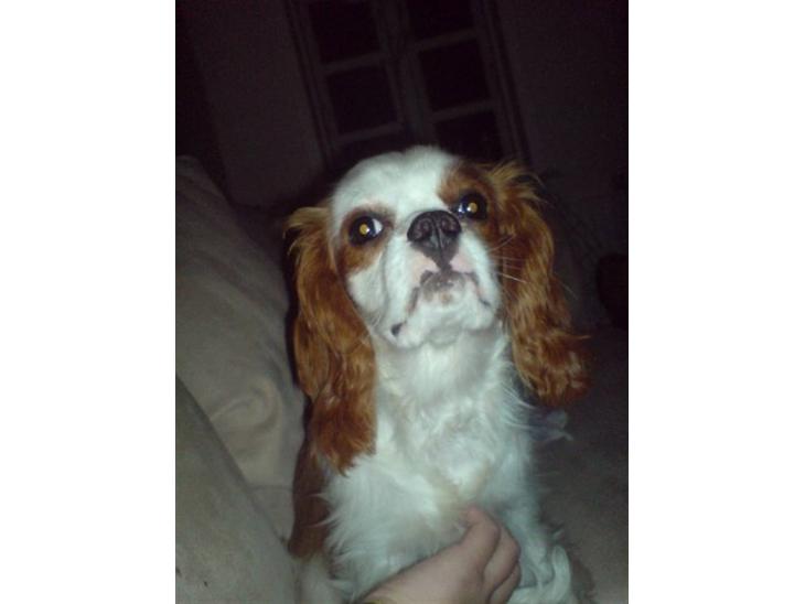 {{currentPhoto.altText}} billede {{currentPhoto.number}}