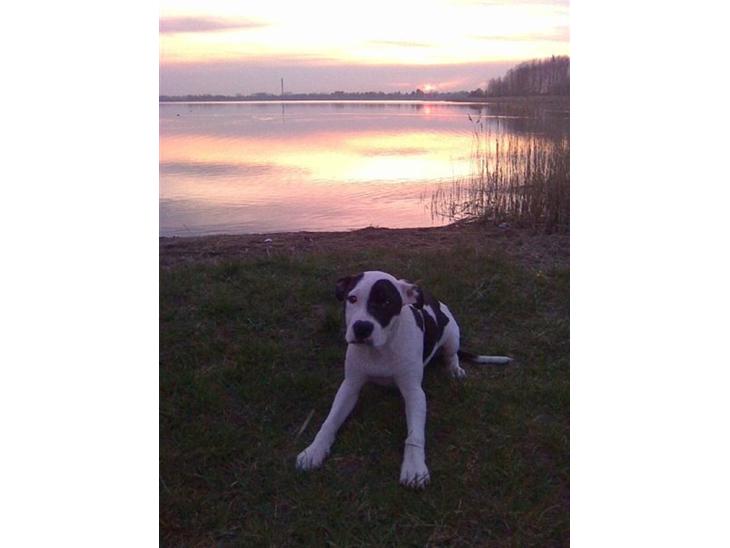 {{currentPhoto.altText}} billede {{currentPhoto.number}}