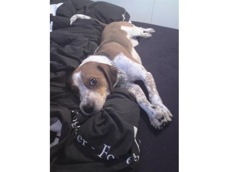 {{currentPhoto.altText}} billede {{currentPhoto.number}}