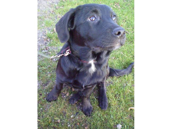 {{currentPhoto.altText}} billede {{currentPhoto.number}}