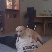 Blanding af racer Coco