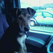 Blanding af racer Artiq