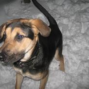 Blanding af racer Lucas