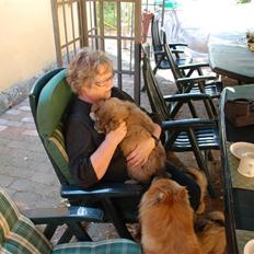 Eurasier Kærlundegård´s U-Akka
