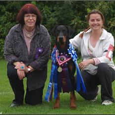 Dobermann Mighty Triton V Masterhof