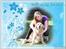 Golden retriever Bella