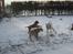 Blanding af racer Trunte R.I.P. 18-7-2011 - sne hygge!