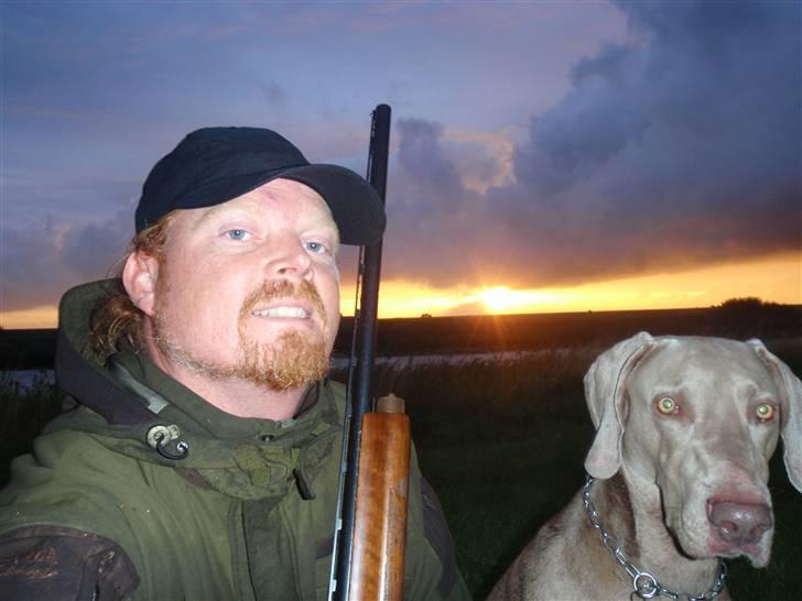 Weimaraner Hot shoot´s hero - så starter aften hygge, det bedste vi ved billede 7