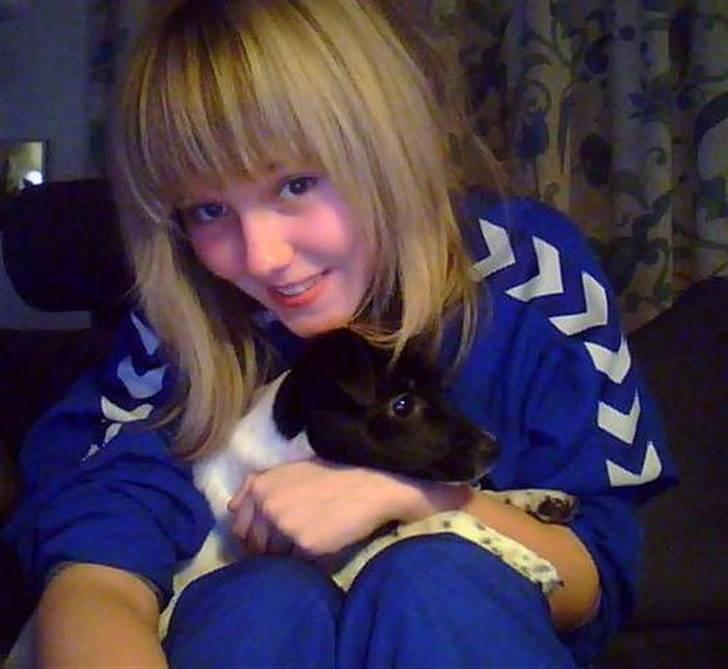 Dansk svensk gaardhund Bella billede 11