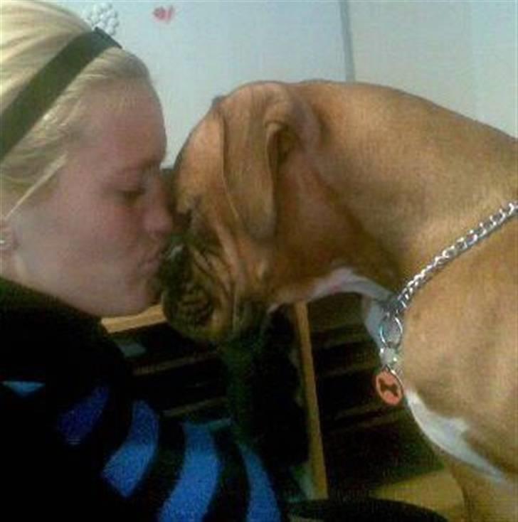 Boxer Zenta - LOVE <3 billede 19