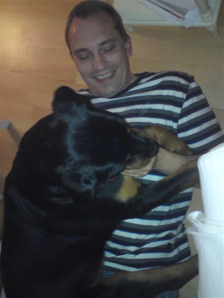 Rottweiler Jackson *R.I.P 29/12-09* - Mig og min bedste ven!  billede 13