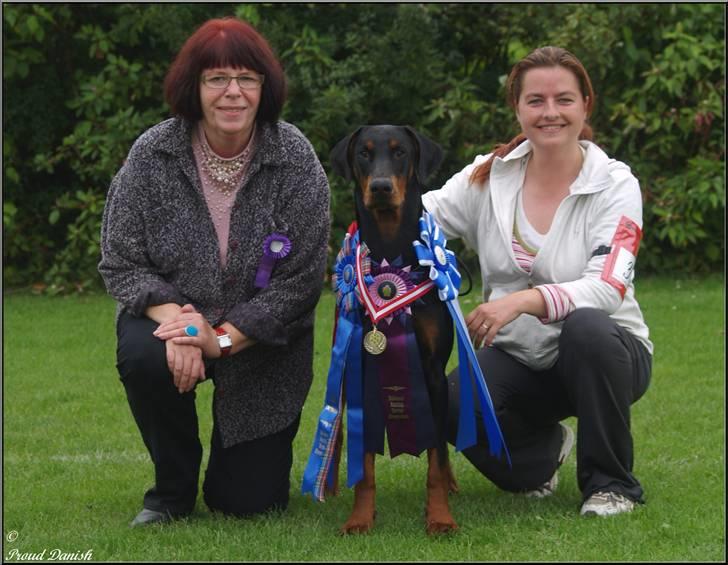 Dobermann Mighty Triton V Masterhof - Hunde Match i Sandved, Cup Vinder, Æres pris, 2. bedste soignerede hund, BIS 2 af alle racer. billede 2