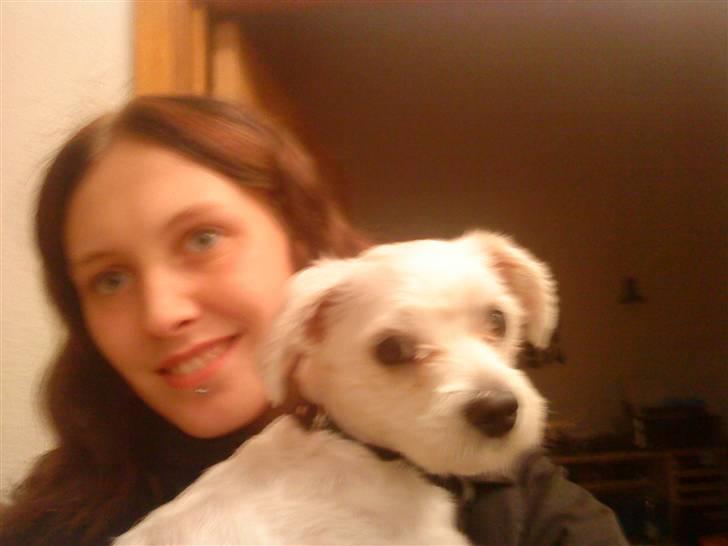 Malteser Manse billede 12