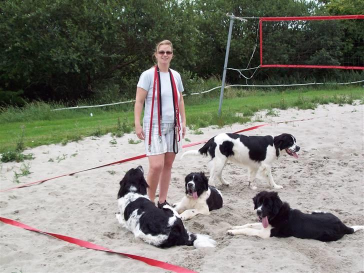 Blanding af racer Uba billede 17