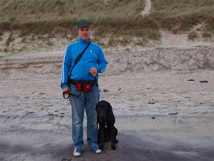 Blanding af racer Dino - En mand og hans hund på stranden  billede 17