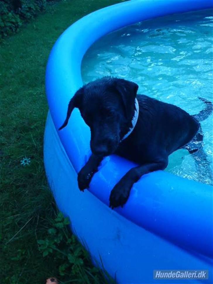 Blanding af racer Pepsi  (solgt savner dig) - Hey, Yo(; Smid Li´ En Kommentar;* billede 1