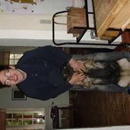 Norsk elghund grå og sort bonza