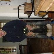 Norsk elghund grå og sort bonza