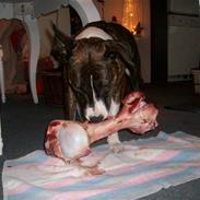 Blanding af racer Thea