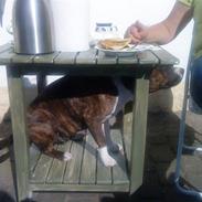 Blanding af racer Thea