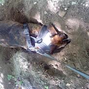 Blanding af racer Thea